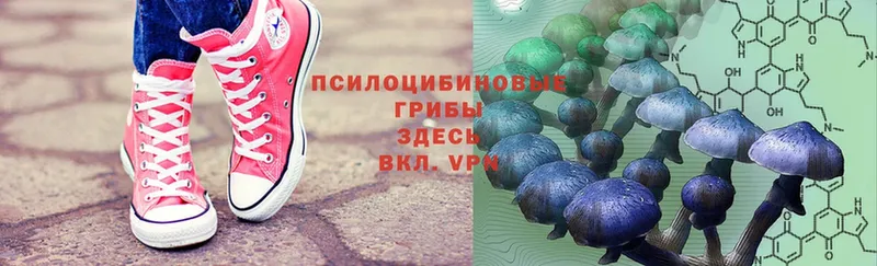 Псилоцибиновые грибы Magic Shrooms  закладка  Губкинский 